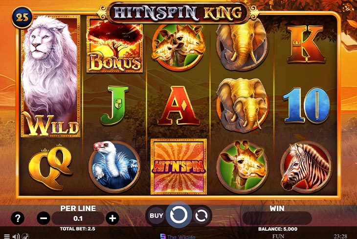 Hitnspin King